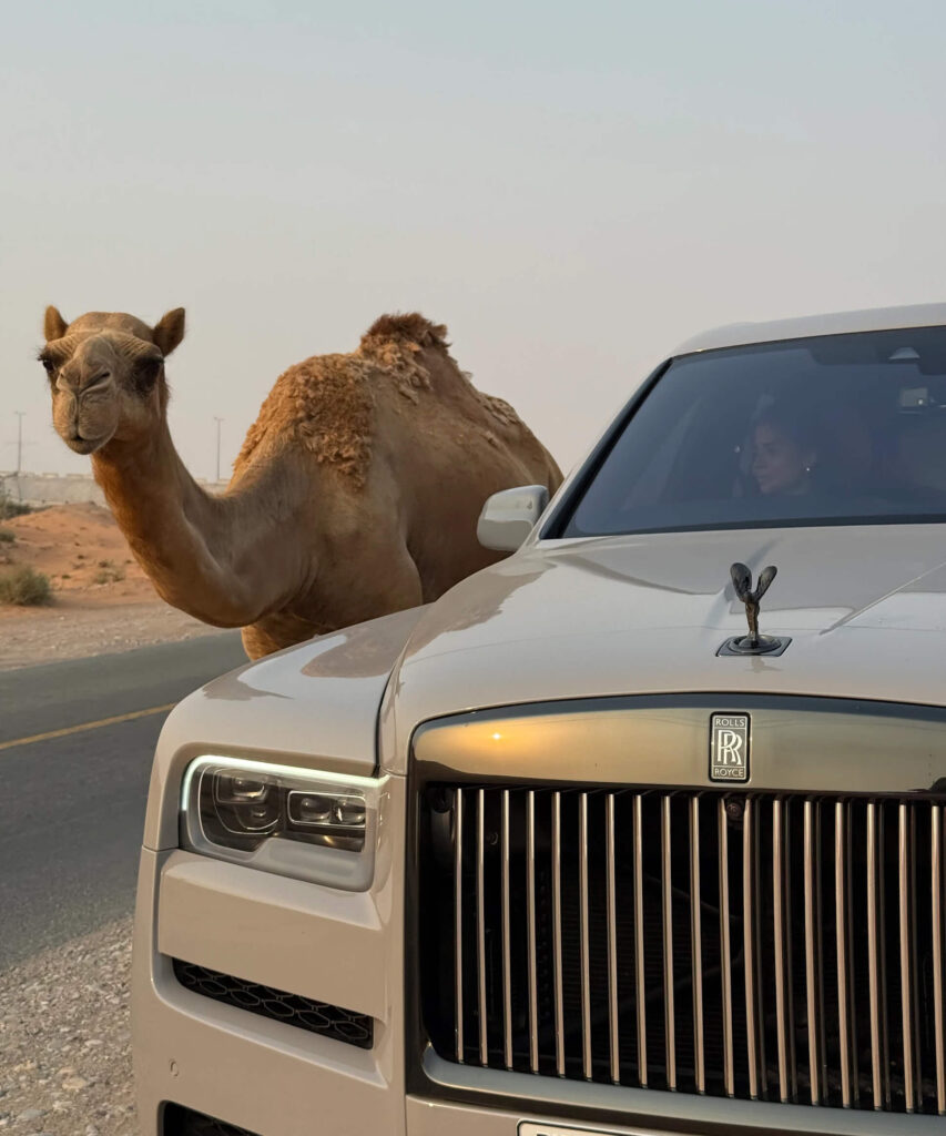 Opiniones Top Sniper