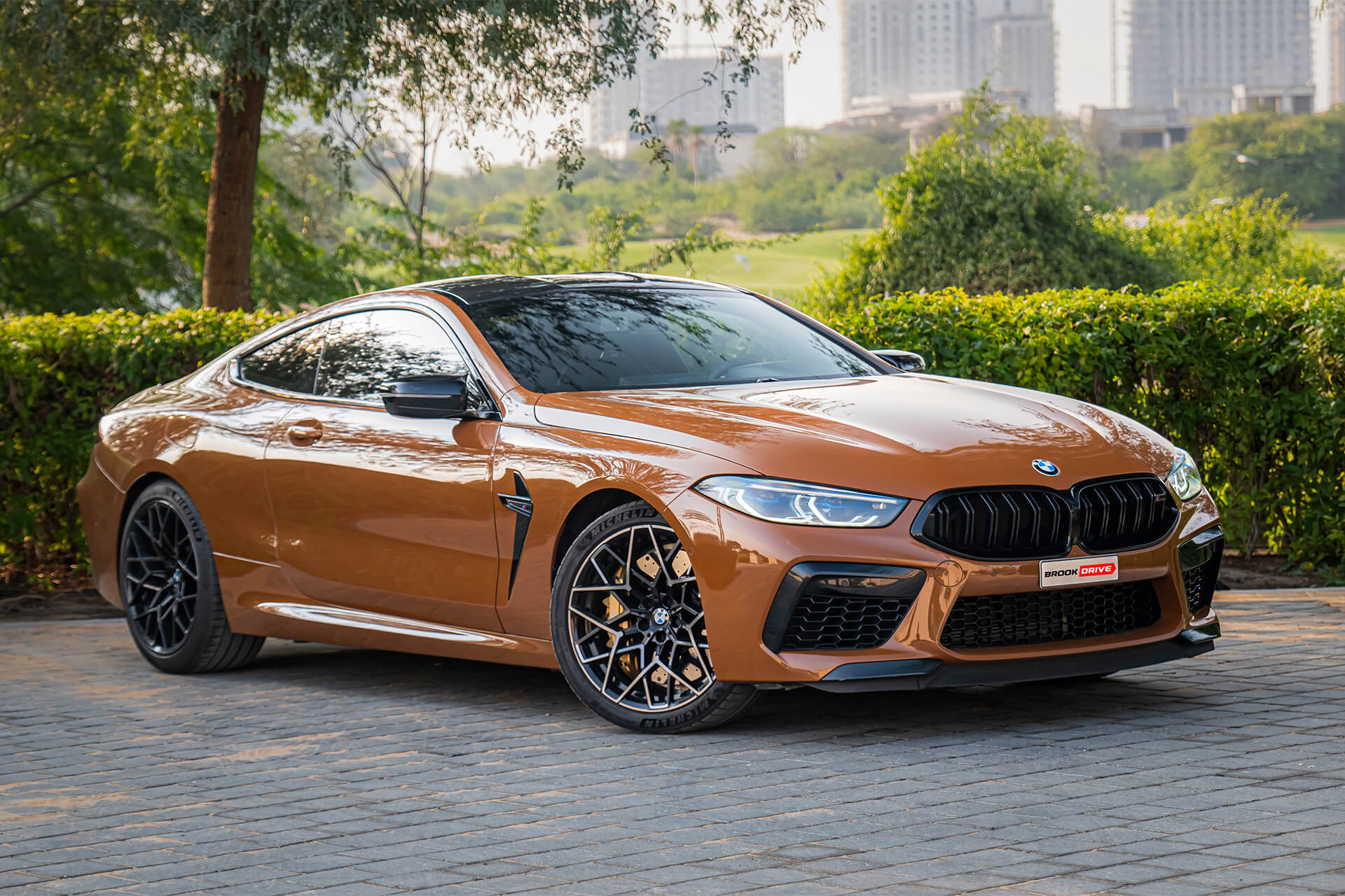 BMW M8 Competition Zanzibar Metallic